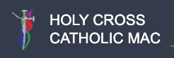 Power BI consultancy for Holy Cross