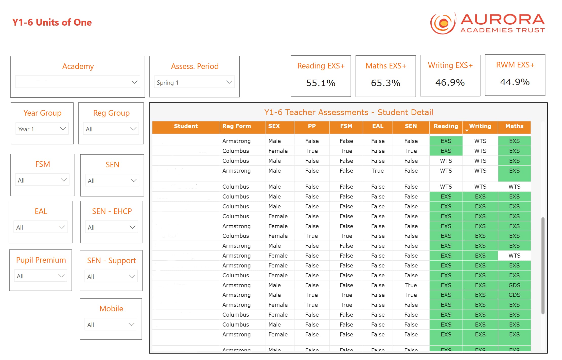 simple pupil assessment report