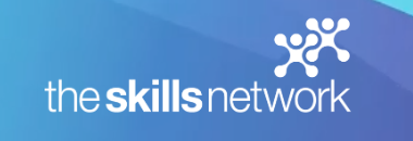 Software consultancy for The Skills Network
